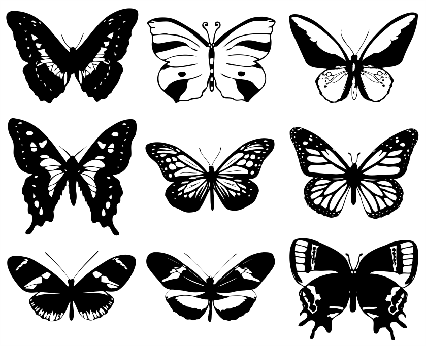 Butterfly Set Design - Download Free DXF And CDR Vector File illustration